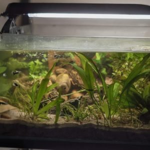 Stort akvariesett m/ Float glass