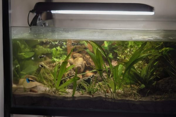 Stort akvariesett m/ Float glass