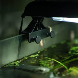 AddOne akvariereol komplett - Bilde 2