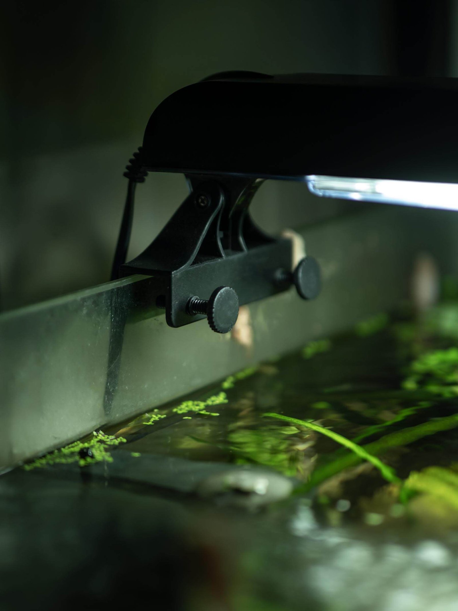 AddOne akvariereol komplett - Bilde 2