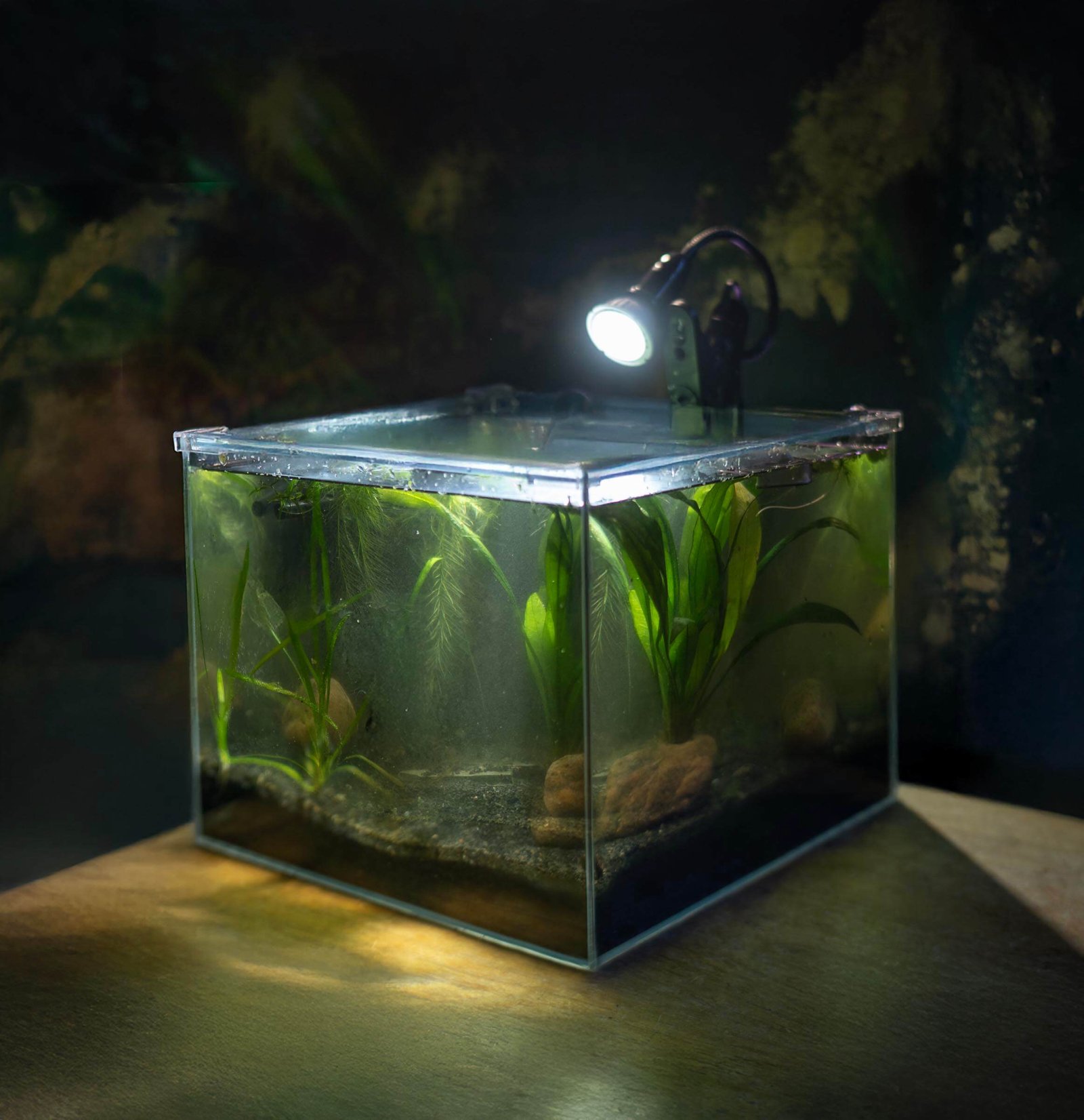 AddOne akvariesett m/ diamantglass - Bilde 5