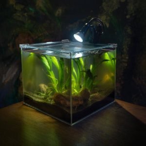AddOne akvariesett m/ diamantglass - Bilde 4