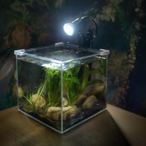 AddOne akvariesett m/ diamantglass - Bilde 3