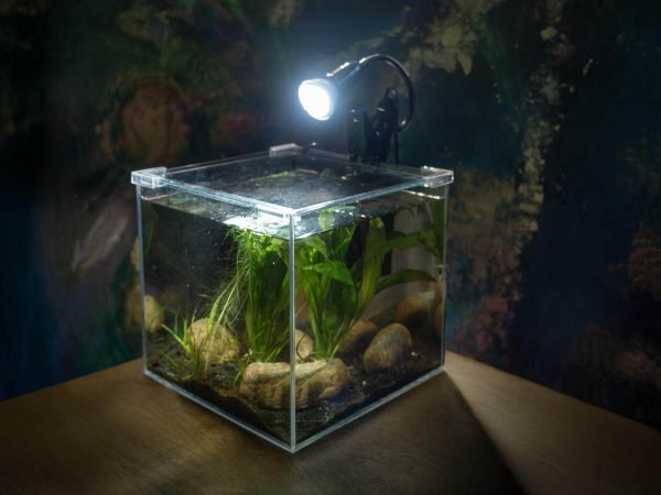 AddOne akvariesett m/ diamantglass