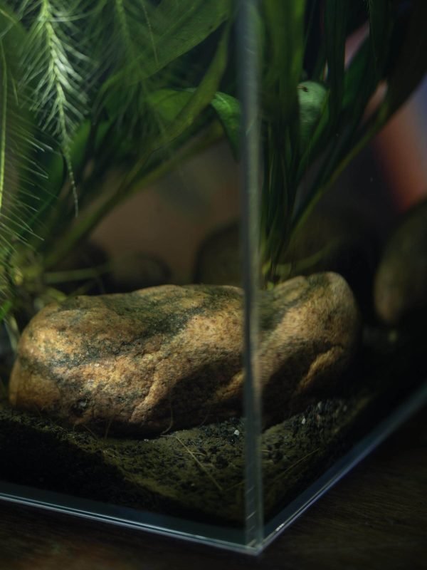 ZooRud akvariesett m/ OptiWhite glass